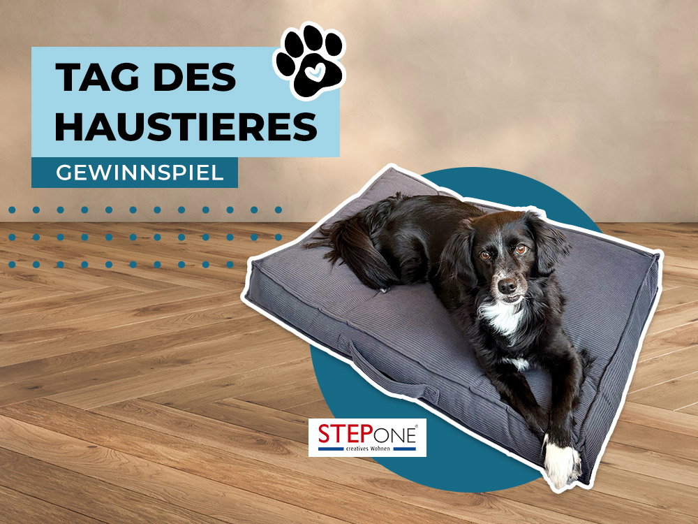 Schwarzer Hund liegt entspannt auf grauem Hundekissen – Tag des Haustieres Gewinnspiel