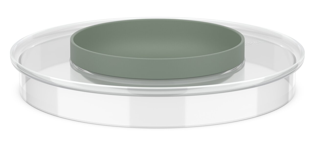 Mepal Spritzschutzdeckel Rührschüssel CHEF IT Spritzschutzdeckel für Rührschüssel, seitliche Perspektive, transparent mit grünem Rand