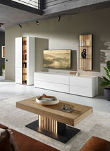 Moderner Couchtisch aus Holz mit schwarzem Sockel, frontal fotografiert in einem stilvollen Wohnzimmer.