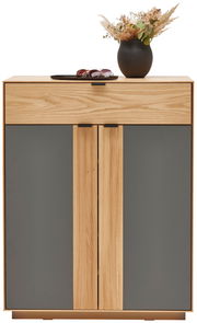 Moderner Schuhschrank aus Holz mit grauen Türen, dekoriert mit einer Vase und Sonnenbrille, Frontalansicht