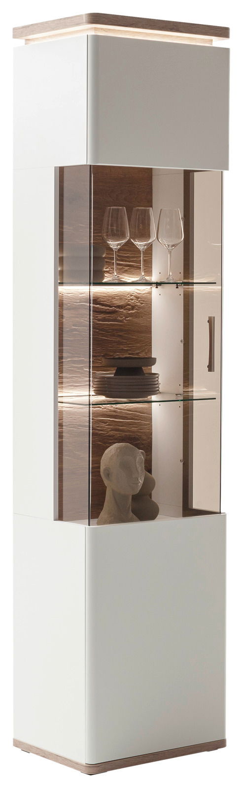 Moderne Vitrine mit Glasfront, Holzdetails und Beleuchtung, seitliche Perspektive