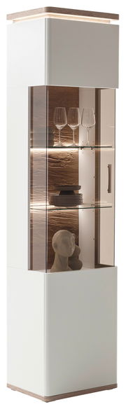 Moderne Vitrine mit Glasfront, Holzdetails und Beleuchtung, seitliche Perspektive