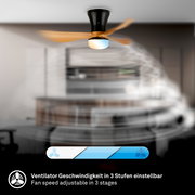 Deckenventilator mit integrierter LED-Leuchte, schwarzem Gehäuse und Holzflügeln in Bewegung, Ansicht von unten in einem Raum; Ventilatorgeschwindigkeit in 3 Stufen einstellbar