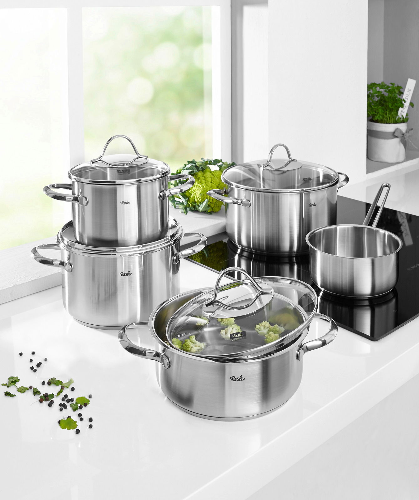 Topfset Paris 5-tlg. aus Edelstahl, bestehend aus mehreren Töpfen und Pfannen mit Glasdeckeln, auf einer modernen Küchenarbeitsplatte in heller Umgebung präsentiert.