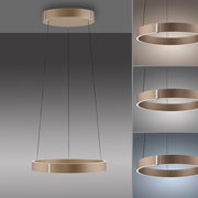 Moderne LED-Pendelleuchte in Ringform, aus der Seiten- und Vorderansicht gezeigt, mit warmem Lichtschein.