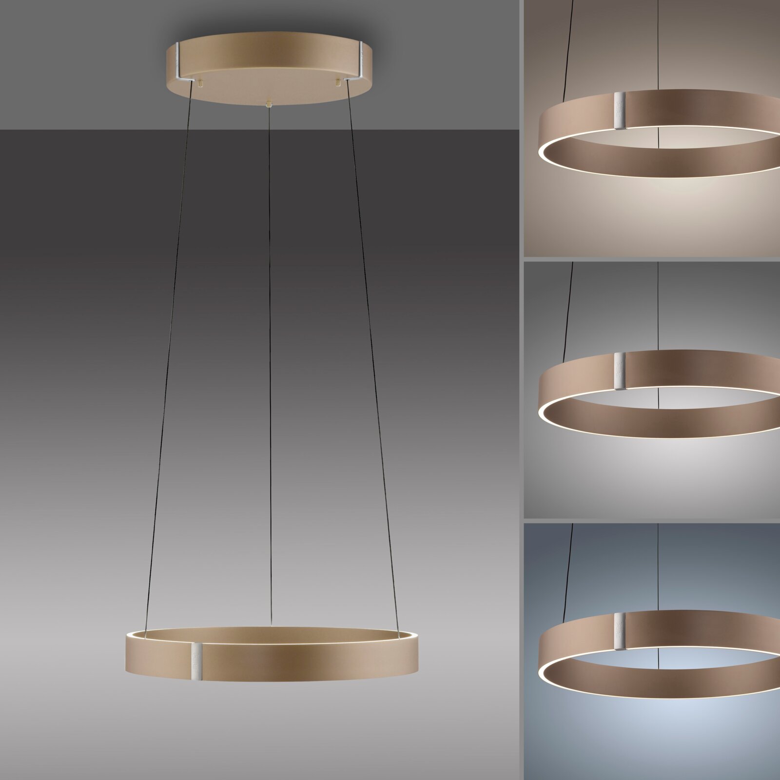 Moderne LED-hanglamp in ringvorm, afgebeeld in zijaanzicht en vooraanzicht, met een warme lichtuitstraling.