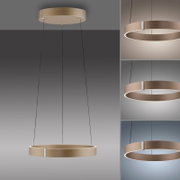 Moderne LED-hanglamp in ringvorm, afgebeeld in zijaanzicht en vooraanzicht, met een warme lichtuitstraling.