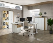 Moderne Büroumgebung mit Eckschreibtisch, Bürostuhl und Regalen, seitliche Perspektive