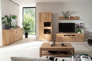 Moderne Wohnzimmer-Wandkombination aus Holz mit TV-Schrank, Regal und Vitrine, umgeben von Pflanzen und dekorativen Elementen, aus der Perspektive eines gemütlichen Wohnzimmers.