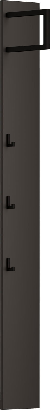 Schmales Garderobenpaneel in dunkler Farbe mit mehreren Haken, seitliche Perspektive