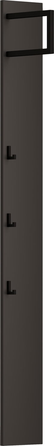Schmales Garderobenpaneel in dunkler Farbe mit mehreren Haken, seitliche Perspektive