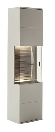 Moderne Vitrine mit Glasfront und Holzrückwand, seitliche Perspektive