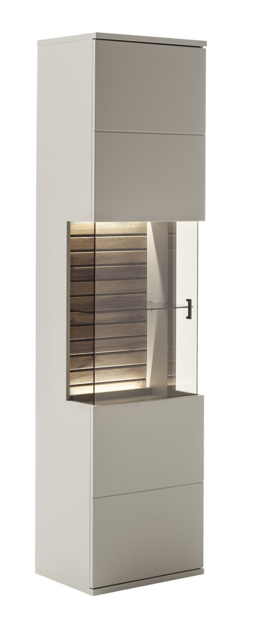Moderne Vitrine mit Glasfront und Holzrückwand, seitliche Perspektive