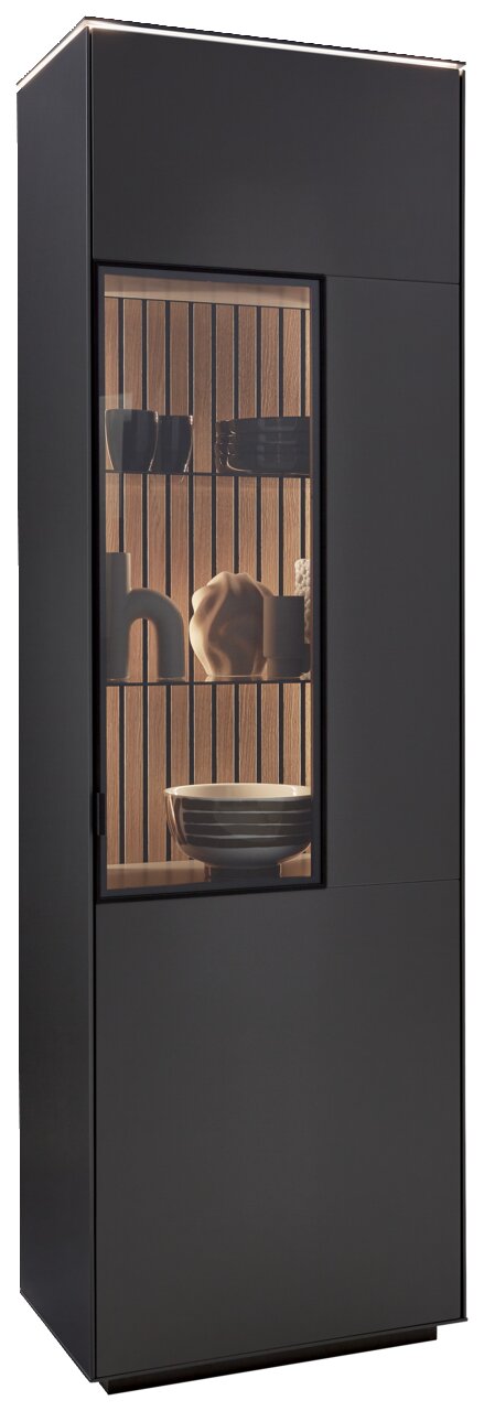 Moderne schwarze Vitrine mit Glastür, seitliche Perspektive, beleuchtete Holzrückwand und dekorative Objekte im Inneren.