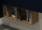 Hängeregal aus Holz mit zwei Fächern, gefüllt mit Büchern und einem kleinen Dekorationsobjekt, seitliche Perspektive