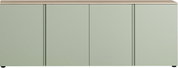 XL-Sideboard in hellem Grün mit vier Türen, frontal betrachtet
