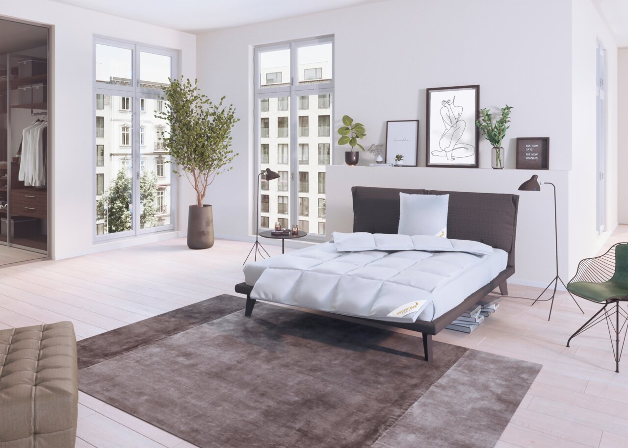 Moderne slaapkamer met een stijlvol bed, voorzien van een Spessarttraum Winterbett PREMIUM en een driekamerkussen. Op de foto is het bed van voren te zien in een lichte, elegante ruimte met grote ramen en een minimalistische inrichting.