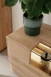 Nahaufnahme eines Lowboards aus hellem Holz mit einer Pflanze in einem grünen Topf darauf, seitliche Perspektive.