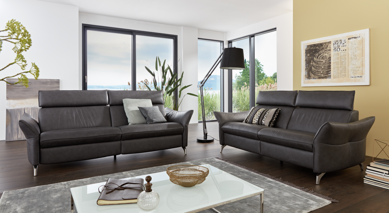 Zwei moderne, dunkelgraue Ledersofas in einem hellen Wohnzimmer mit großen Fenstern und Blick ins Grüne. Perspektive von vorne.