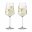 Ritzenhoff  Champagnerglas Champus On Ice 2er-Set