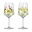 Ritzenhoff Limoncello Aperitifglas 2er-Set SOMMERTAU