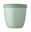 Mepal Snackpot Nordic sage ELLIPSE